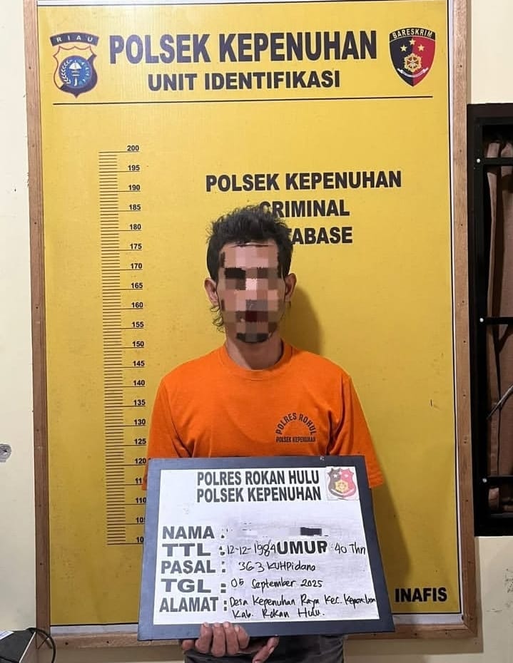 H (41) tersangka pencurian brondolan.